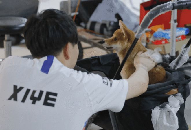 爱游戏体育-国际赛和友谊赛有什么区别